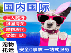滋润航空快递国际宠物托运 【国
